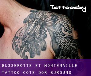 Busserotte-et-Montenaille tattoo (Cote d'Or, Burgund)
